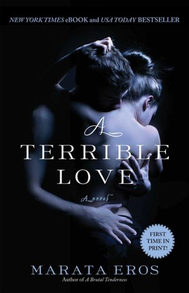 Cover for Marata Eros · A Terrible Love (Paperback Book) (2013)