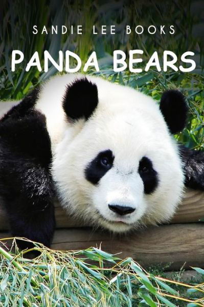 Pandabears - Sandie Lee Books - Sandie Lee Books - Books - CreateSpace Independent Publishing Platf - 9781495210198 - January 15, 2014