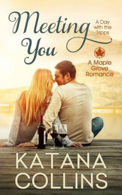 Cover for Katana Collins · Meeting You (Paperback Book) (2014)