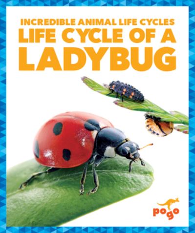 Cover for Karen Latchana Kenney · Life Cycle of a Ladybug (Book) (2018)