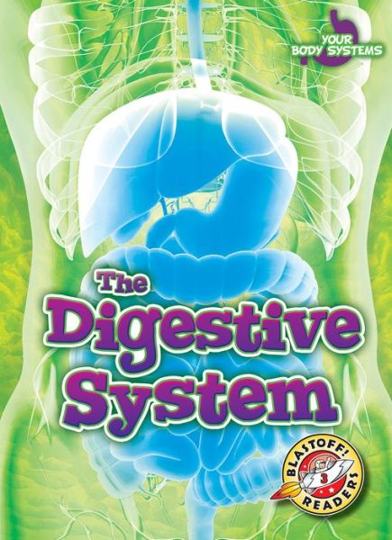 Cover for Rebecca Pettiford · Digestive System (Book) (2019)