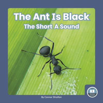 Ant Is Black - Connor Stratton - Books - Little Blue House - 9781646199198 - October 1, 2023