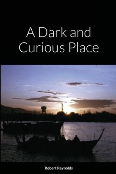 Cover for Robert Reynolds · A Dark and Curious Place (Paperback Book) (2021)