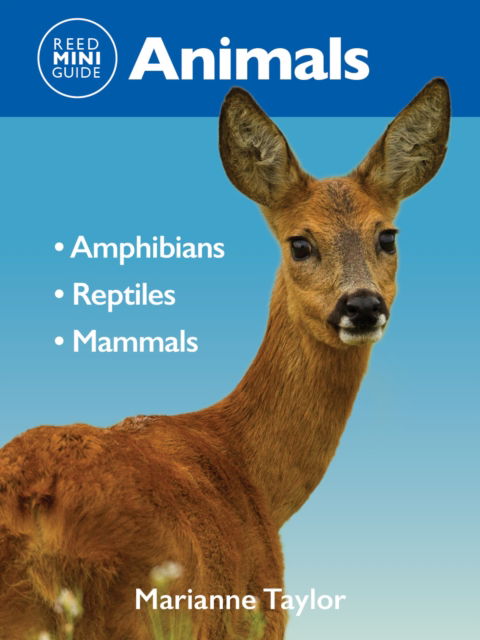 Cover for Mariane Taylor · Reed Mini Guide: Animals: Amphibians l Reptiles l Mammals (Paperback Book) (2024)