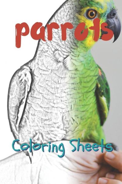 Cover for Julian Smith · Parrot Coloring Sheets (Pocketbok) (2019)