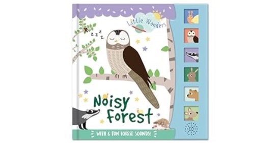 Cover for Noisy Forest - Little Wonders Sound Book (N/A) (2021)