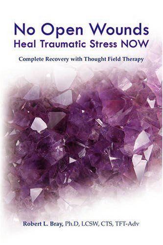 Cover for Robert L Bray · Heal Traumatic Stress Now: No Open Wounds (Paperback Book) (2008)