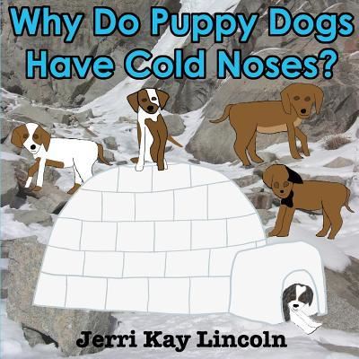 Cover for Jerri Kay Lincoln · Why Do Puppy Dogs Have Cold Noses? (Paperback Book) (2013)