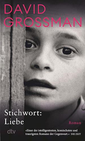 Cover for David Grossman · Stichwort: Liebe (Book) (2024)