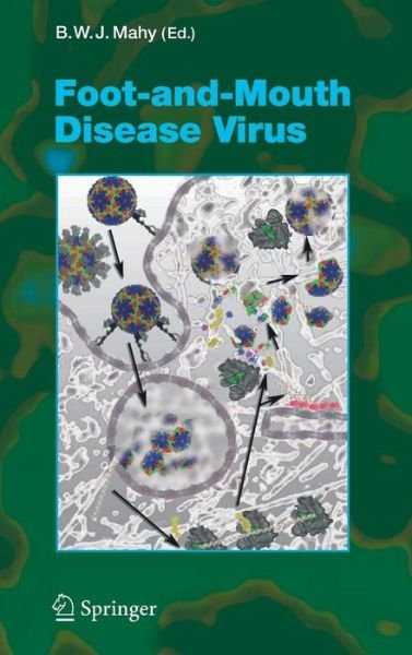 Cover for B W J Mahy · Foot-and-Mouth Disease Virus - Current Topics in Microbiology and Immunology (Hardcover Book) [2005 edition] (2004)
