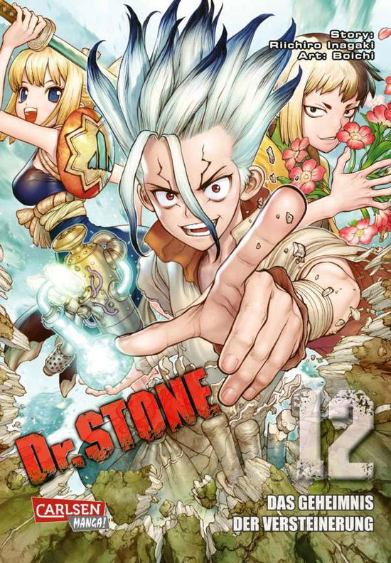 Cover for Boichi · Dr. Stone 12 (Taschenbuch) (2021)