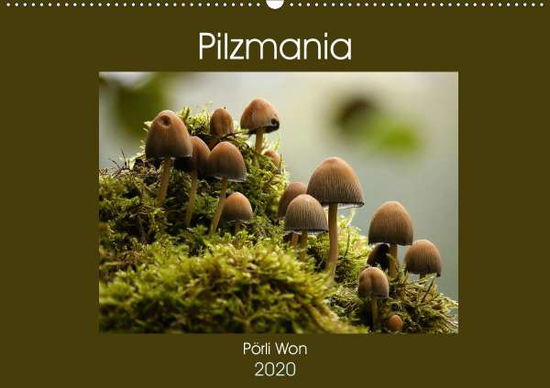 Cover for Won · Pilzmania (Wandkalender 2020 DIN A2 (Book)