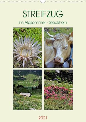 Cover for Michel · STREIFZUG im Alpsommer - Stockho (Book)