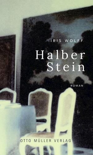 Halber Stein - Iris Wolff - Libros - Otto Müller Verlag GmbH - 9783701313198 - 22 de marzo de 2024