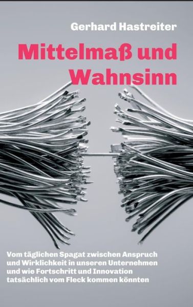 Cover for Hastreiter · Mittelmaß und Wahnsinn (Book) (2019)