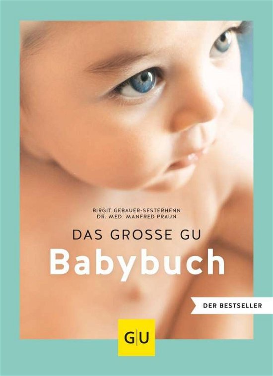 Cover for Gebauer-Sesterhen · Das große GU Babybuch (Bok)