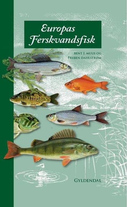 Cover for Bent Muus · Europas ferskvandsfisk (Bound Book) [5e uitgave] (2017)