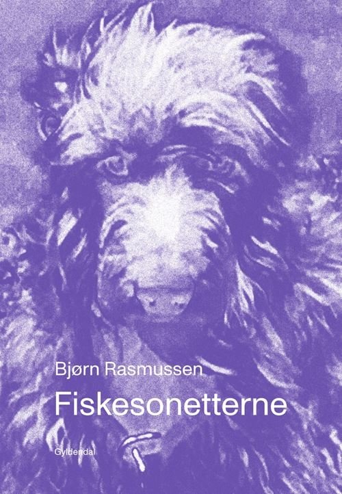 Cover for Bjørn Rasmussen · Fiskesonetterne (Hæftet bog) [1. udgave] (2023)