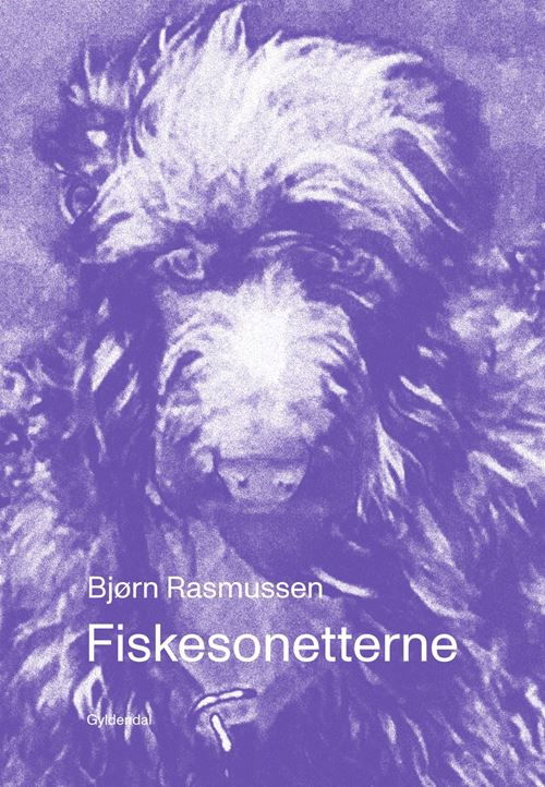 Fiskesonetterne - Bjørn Rasmussen - Bøker - Gyldendal - 9788702407198 - 17. november 2023