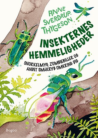 Cover for Anne Sverdrup-Thygeson · Insekternes hemmeligheder (Hardcover bog) [1. udgave] (2022)