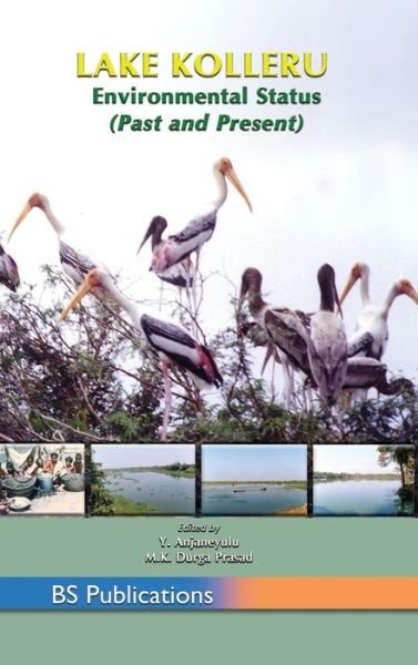 Cover for Y Anjaneyulu · Lake Kolleru: Environmental Status (Past and Present) (Inbunden Bok) [St edition] (2018)