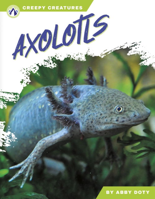 Cover for Abby Doty · Axolotls - Creepy Creatures (Gebundenes Buch) (2025)