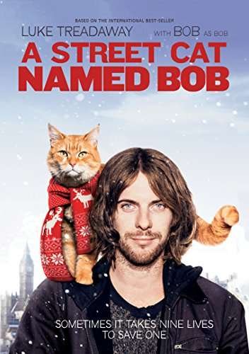 Cover for DVD · A Street Cat Named Bob (DVD) (2019)