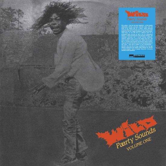 Cover for Various Artists · Wild Paarty Sounds - Volume One (LP) (2023)