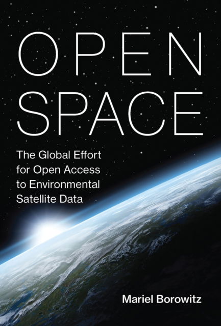 Cover for Mariel Borowitz · Open Space (Book) (2024)