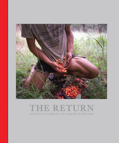 Cover for Timothy Eagle · The Return (Hardcover Book) (2014)