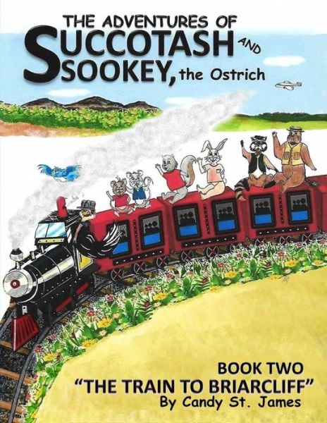 Cover for Candy St James · The Adventures of Succotash and Sookey, the Ostrich (Paperback Book) (2019)