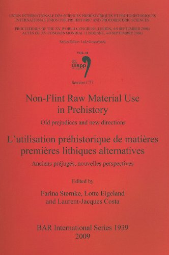 Cover for Laurent Jacques Costa · Non-flint Raw Material Use in Prehistory: Old Prejudices and New Directions (British Archaeological Reports British Series) (Paperback Book) (2009)