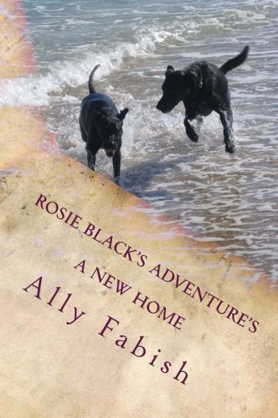 Cover for Ms Ally Fabish · A New Home: Rosie Black's Adventures (Volume 1) (Paperback Bog) (2012)