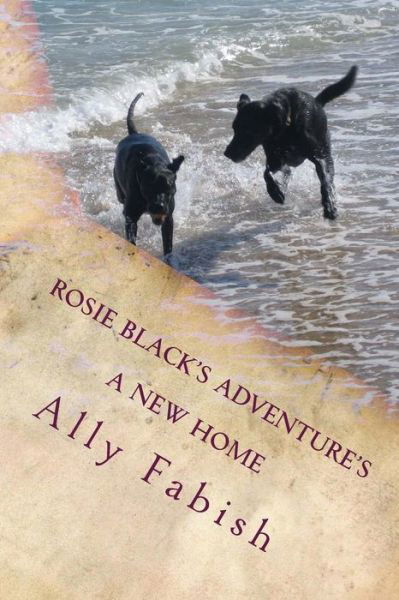 Cover for Ms Ally Fabish · A New Home: Rosie Black's Adventures (Volume 1) (Pocketbok) (2012)