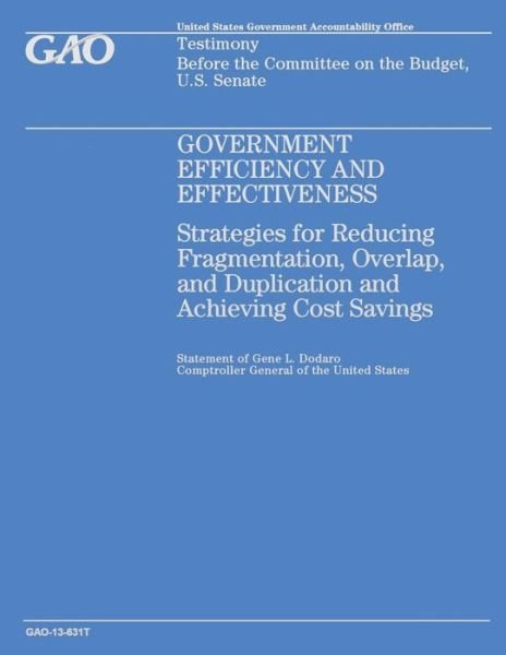 Cover for Government Accountability Office · Government Efficiency and Effectiveness: Strategies for Reducing Fragmentation, Overlap, and Duplication and Achieving Cost Savings (Paperback Book) (2014)