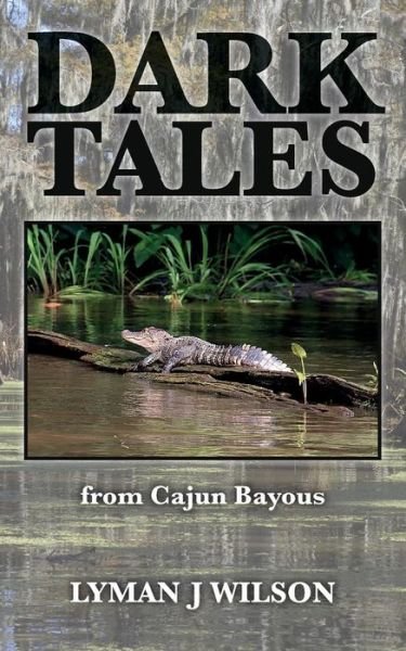 Cover for Lyman J Wilson · Dark Tales (Pocketbok) (2016)