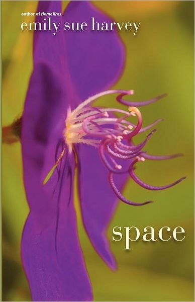 Cover for Emily Sue Harvey · Space (Paperback Book) (2011)