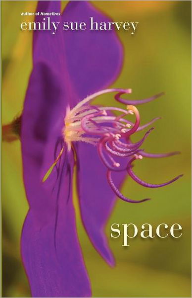 Space - Emily Sue Harvey - Książki - The Story Plant - 9781611880199 - 4 października 2011
