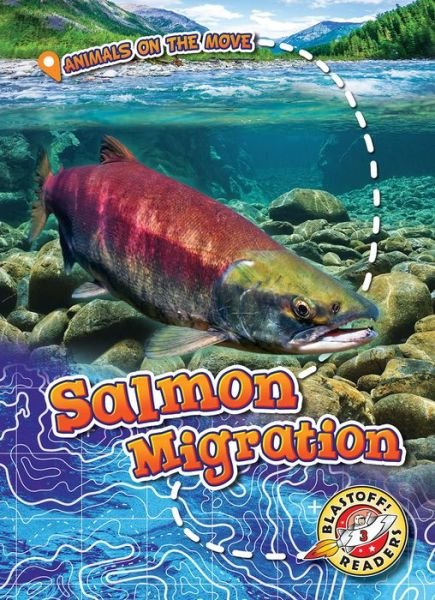 Cover for Kari Schuetz · Salmon Migration - Animals on the Move (Hardcover Book) (2018)