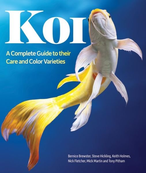 Cover for Bernice Brewster · Koi: a Complete Guide to Their Care and Color Varieties (Paperback Book) (2015)