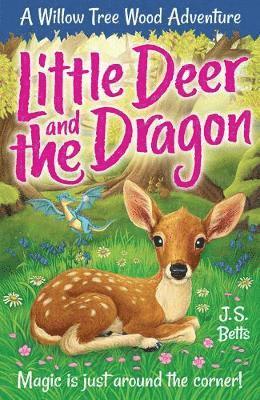 Cover for J. S. Betts · Willow Tree Wood Book 2 - Little Deer and the Dragon - Willow Tree Wood (Paperback Book) (2020)