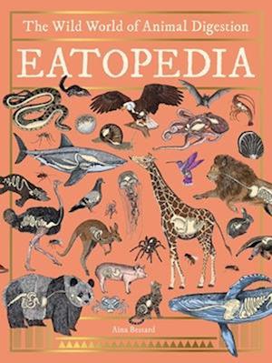 Cover for Aina Bestard · Eatopedia: The Wild World Of Animal Digestion (Buch) (2025)