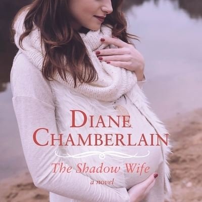 Cover for Diane Chamberlain · The Shadow Wife Lib/E (CD) (2016)