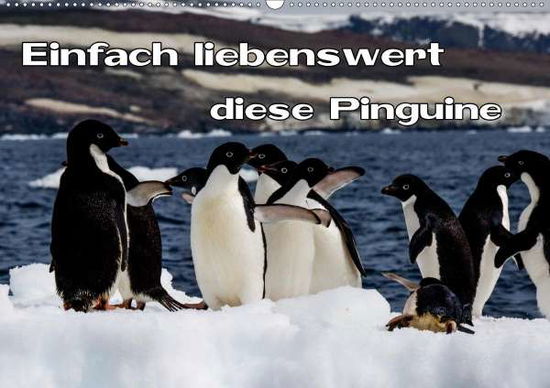 Cover for Baumert · Einfach liebenswert diese Pingu (Book)