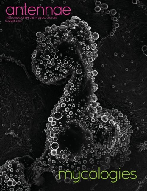 Cover for Merlin Sheldrake · Antennae #58 Mycologies (Paperback Bog) (2022)