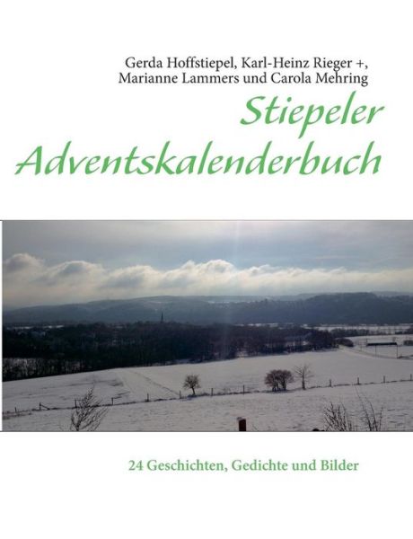Cover for Marianne Lammers · Stiepeler Adventskalenderbuch (Paperback Book) [German edition] (2013)