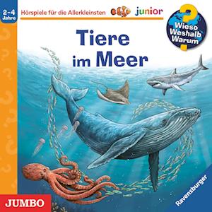 Cover for Anita van Saan · Wieso? Weshalb? Warum? junior. Tiere im Meer (Audiobook (CD)) (2024)