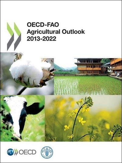 Cover for Organization for Economic Cooperation and Development Oecd · Oecd-fao Agricultural Outlook 2013?2022 (Volume 2013) (Paperback Bog) [19th Ed., 2013 edition] (2013)
