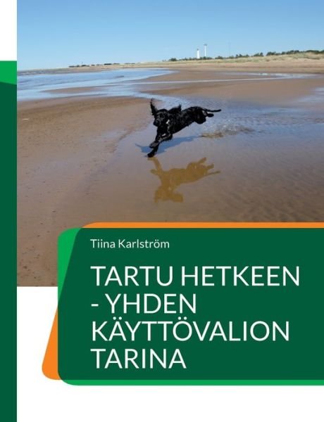 Tartu hetkeen - yhden kayttoevalion tarina - Tiina Karlstroem - Books - Books on Demand - 9789528061199 - July 6, 2022