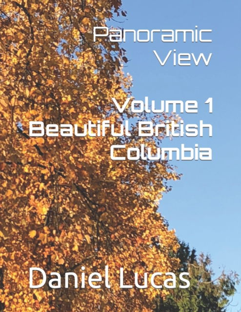 Panoramic View - Landscape Photo - Daniel Lucas - Böcker - Independently Published - 9798680365199 - 28 augusti 2020